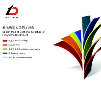 Couleur Ral personnalisée revêtement en zinc laminé à froid galvanisé PPGI PPGL bobine d'acier 10 mm-3000 mm largeur pour les marchés nationaux